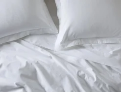 Coyuchi Cloud Brushed™ Organic Flannel Sham< Pillow Shams