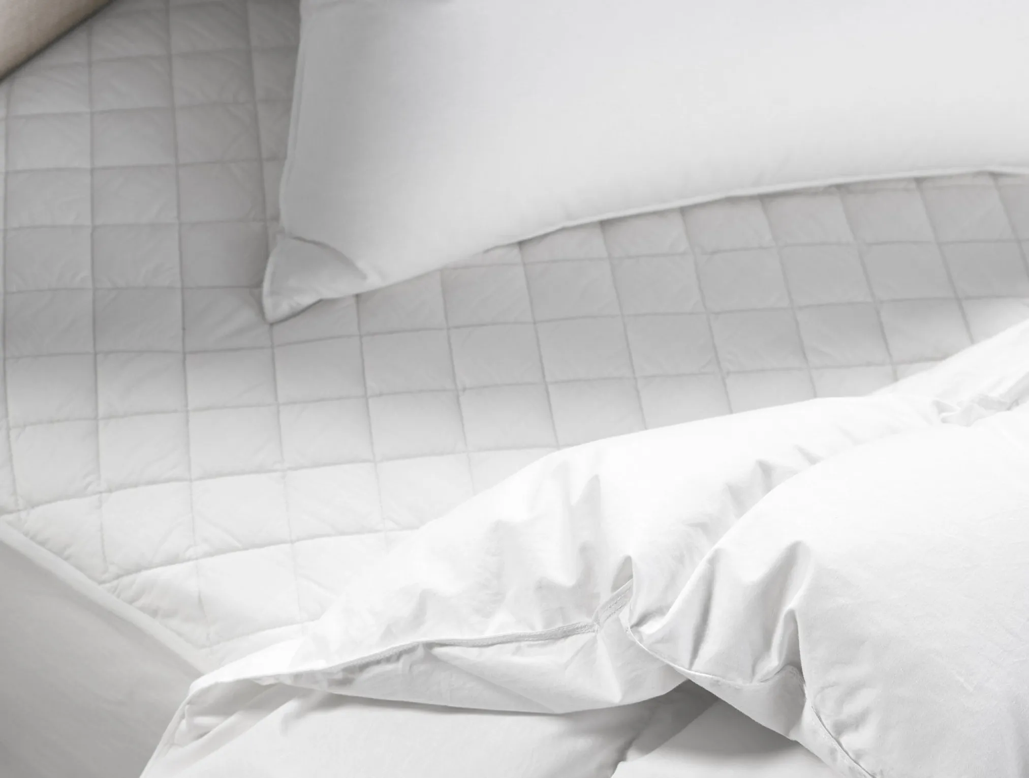 Coyuchi Organic Cotton Mattress Pad< Mattress Pads + Toppers|Mattress Pads + Toppers