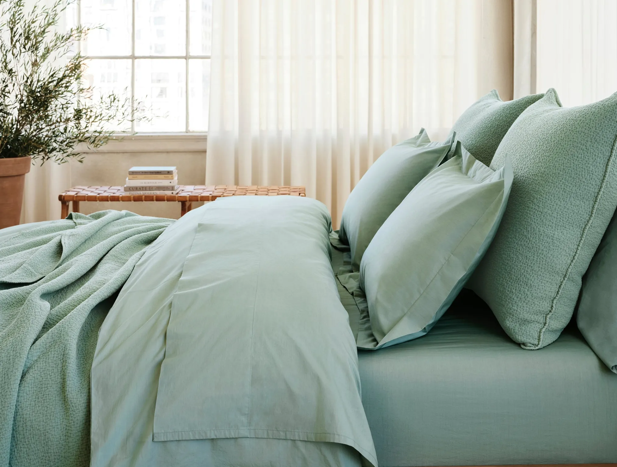 Coyuchi Refined Organic Percale Sham< Pillow Shams|Percale