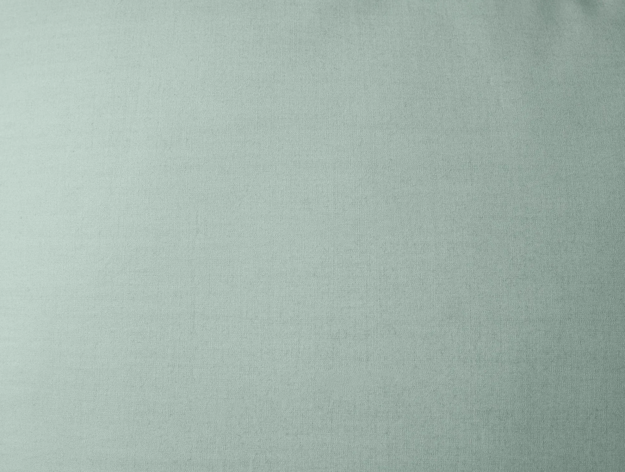 Coyuchi Refined Organic Percale Sham< Pillow Shams|Percale