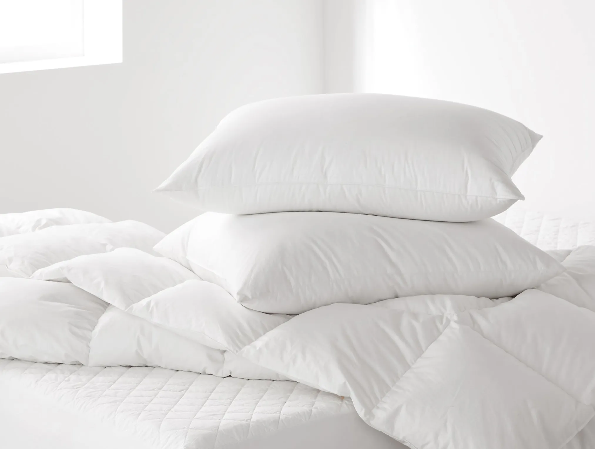 Coyuchi Three Season Down + Pillows + Protectors Bundle< Bed Essential Bundles