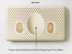 Coyuchi Turiya™ Organic Latex Pillow< Pillow Inserts