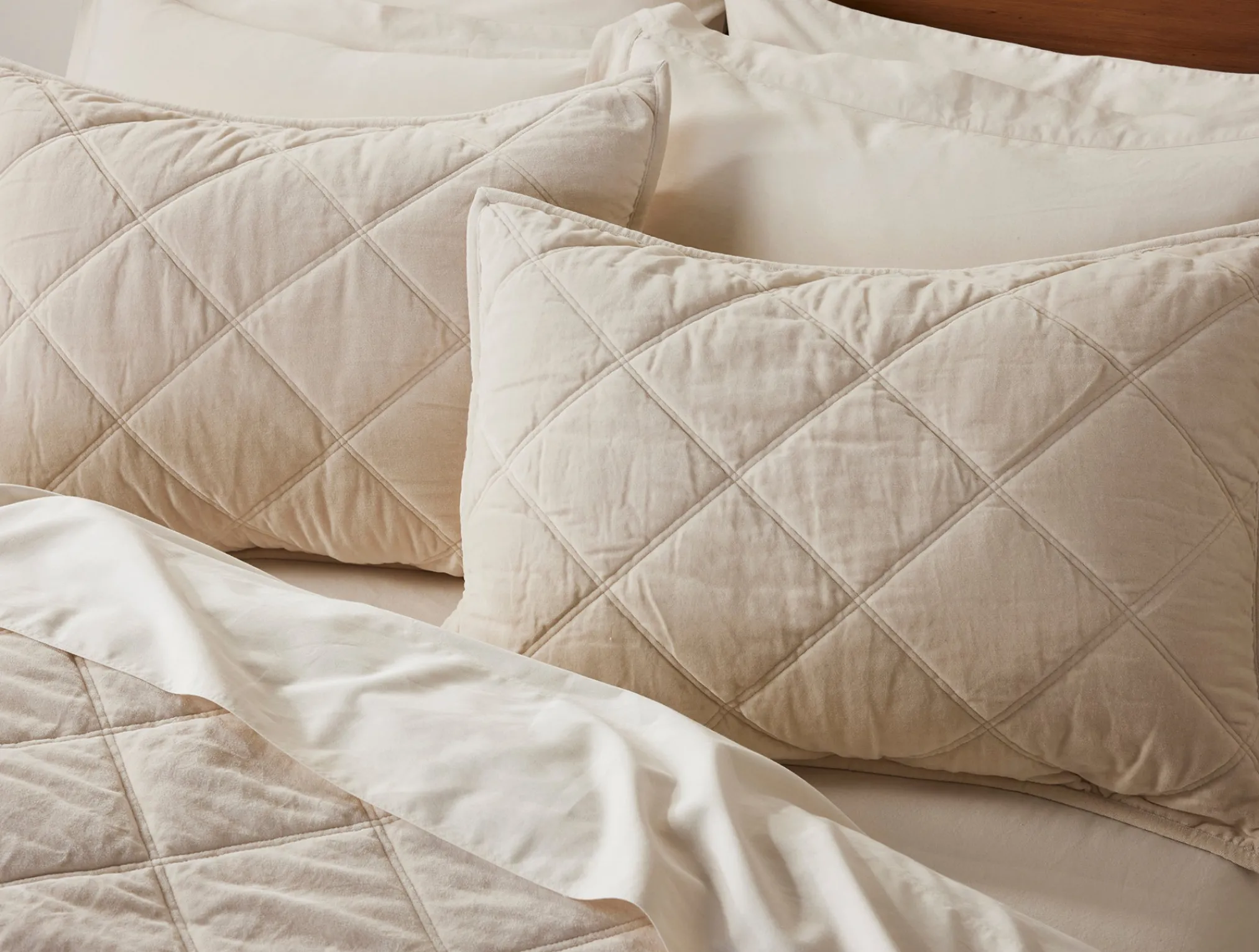 Coyuchi Velvet Organic Sham< Pillow Shams