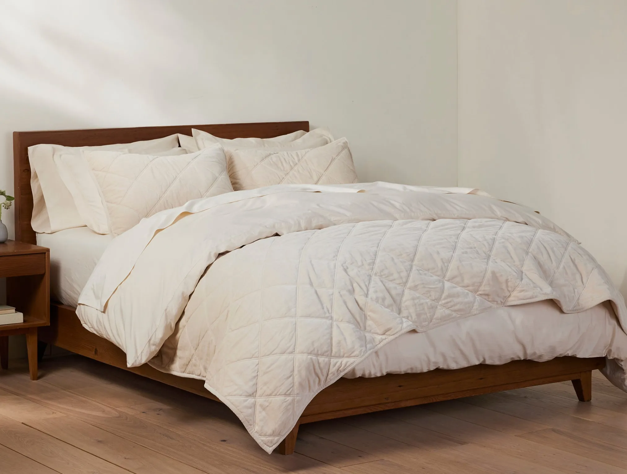 Coyuchi Velvet Organic Sham< Pillow Shams
